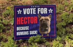 Hector